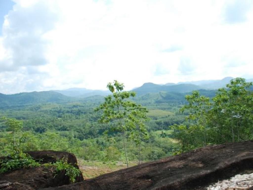 Nature Lovers Resort Ingiriya Exterior foto